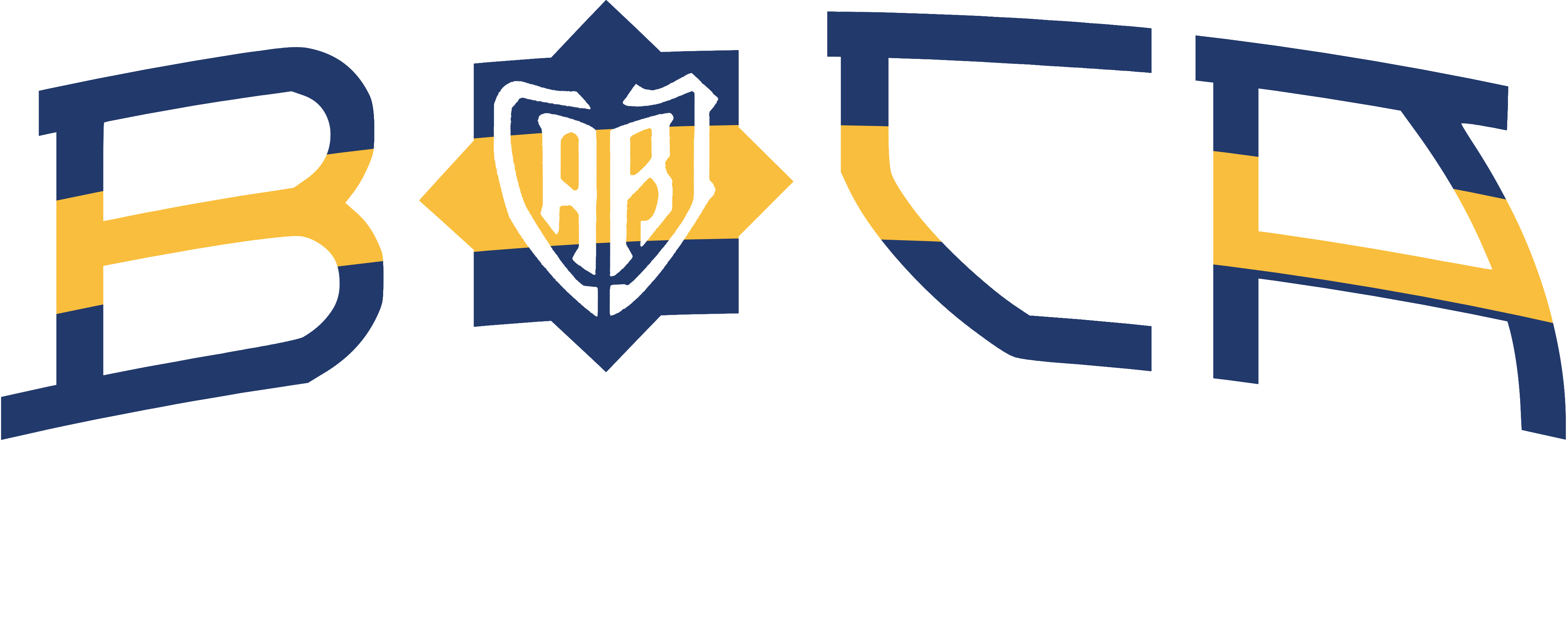 Boca Es La Pasión